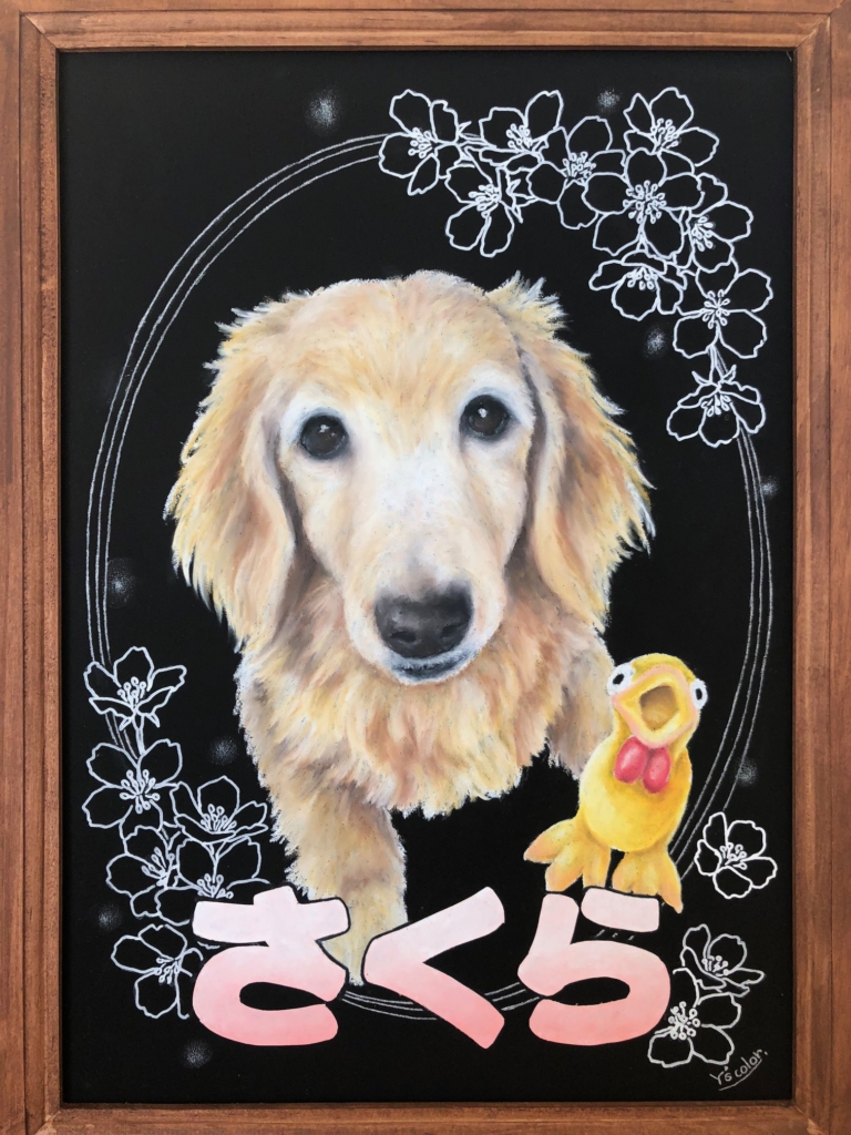 チョークアートで描いた犬 ダックスフント