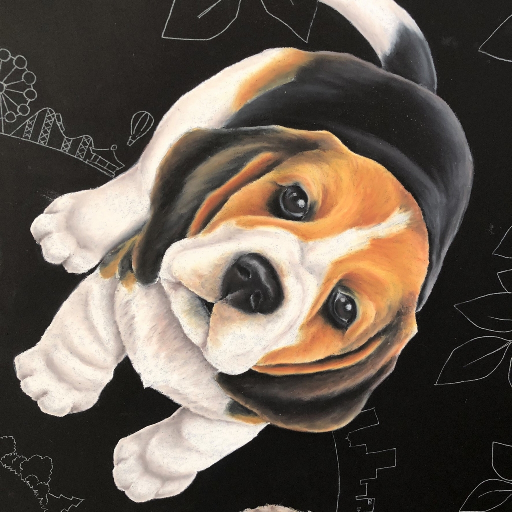 チョークアートで描いた犬 ビーグル