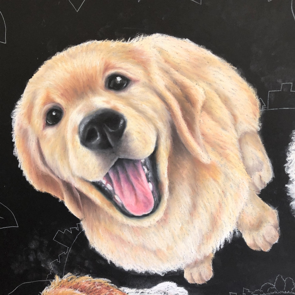 チョークアートで描いた犬 ラブラドルレトリバー