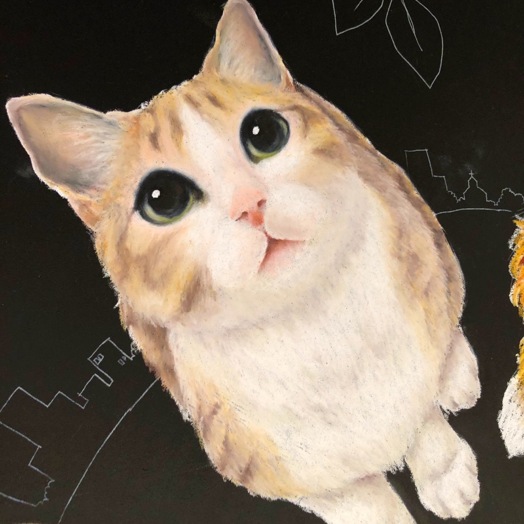 チョークアートで描いた猫 茶トラ