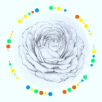 バラの鉛筆画